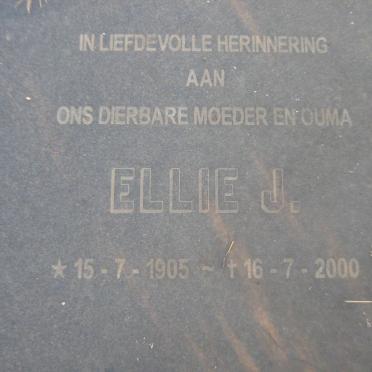 PIENAAR Willem N. 1901-1983 &amp; Ellie J. 1905-2000