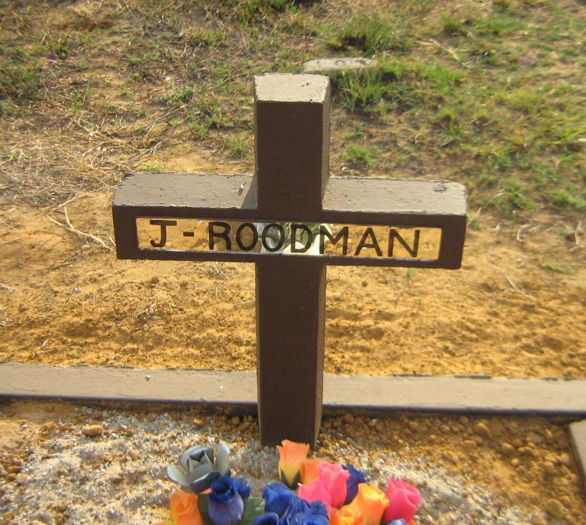 ROODMAN J.