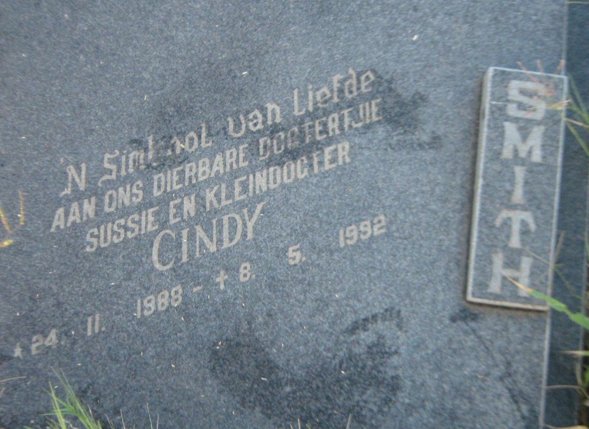 SMITH Cindy 1988-1992