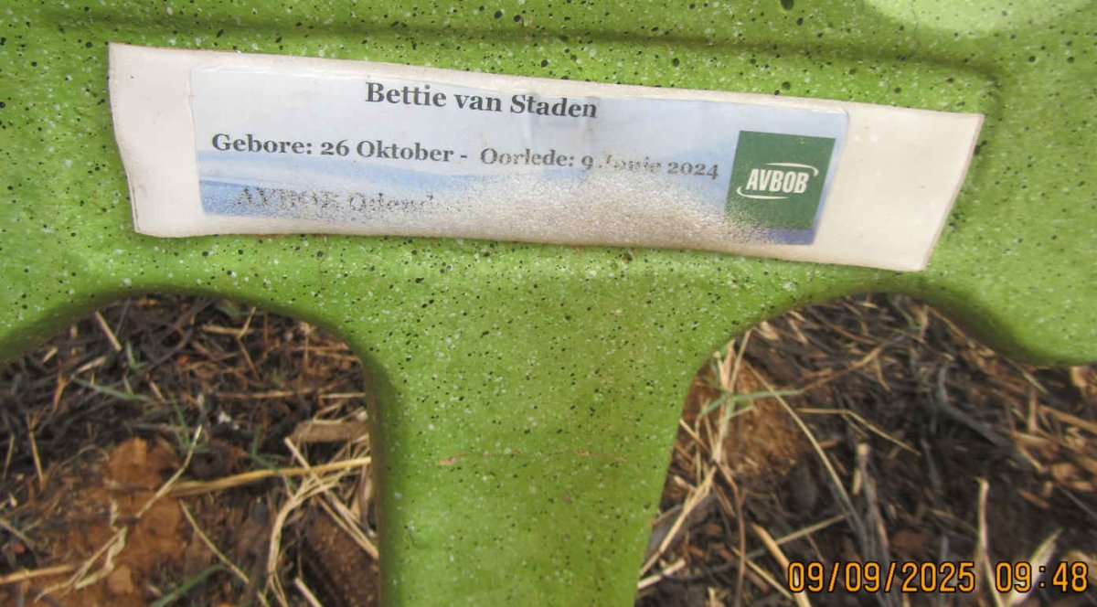 STADEN Bettie, van -2024