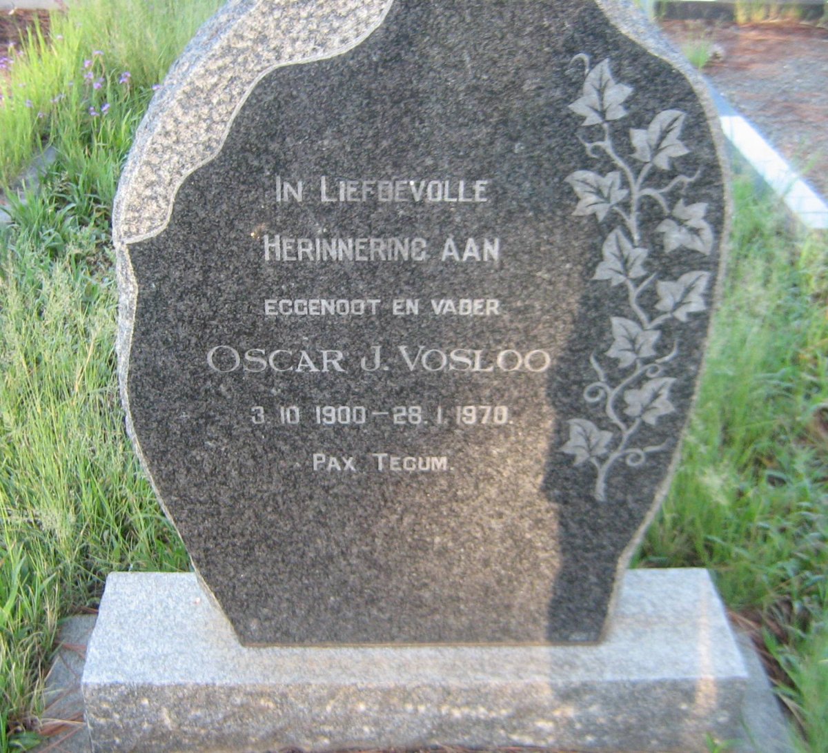 VOSLOO Oscar J. 1900-1970